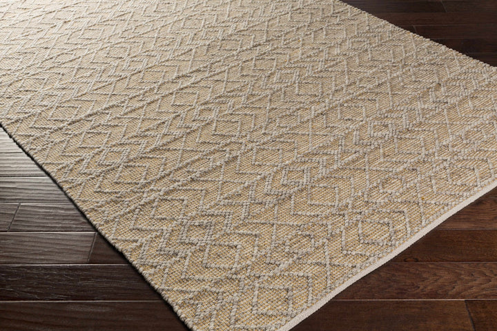 Cullercoats Tan Modern Style Hand Woven Area Rug - The Rug Decor