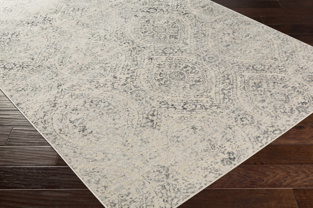 Cundiff Beige And Gray Traditional Style Area Rug