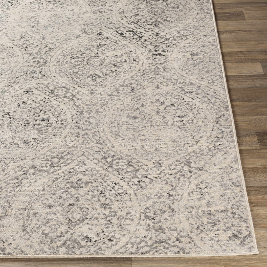 Cundiff Beige And Gray Traditional Style Area Rug