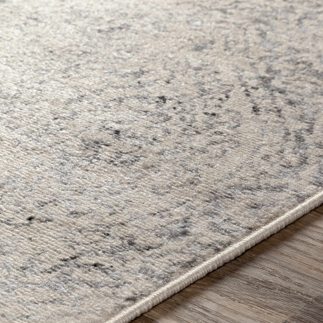 Cundiff Beige And Gray Traditional Style Area Rug