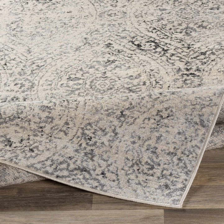 Cundiff Beige And Gray Traditional Style Area Rug - The Rug Decor