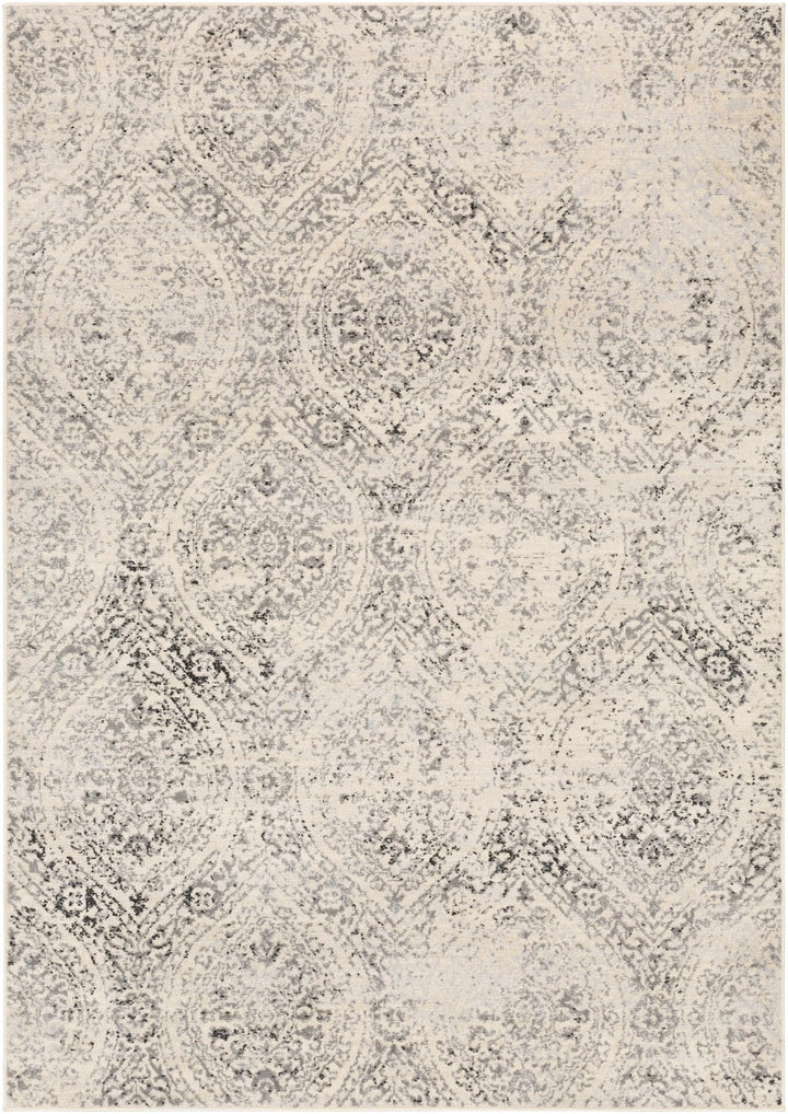 Cundiff Beige And Gray Traditional Style Area Rug - The Rug Decor