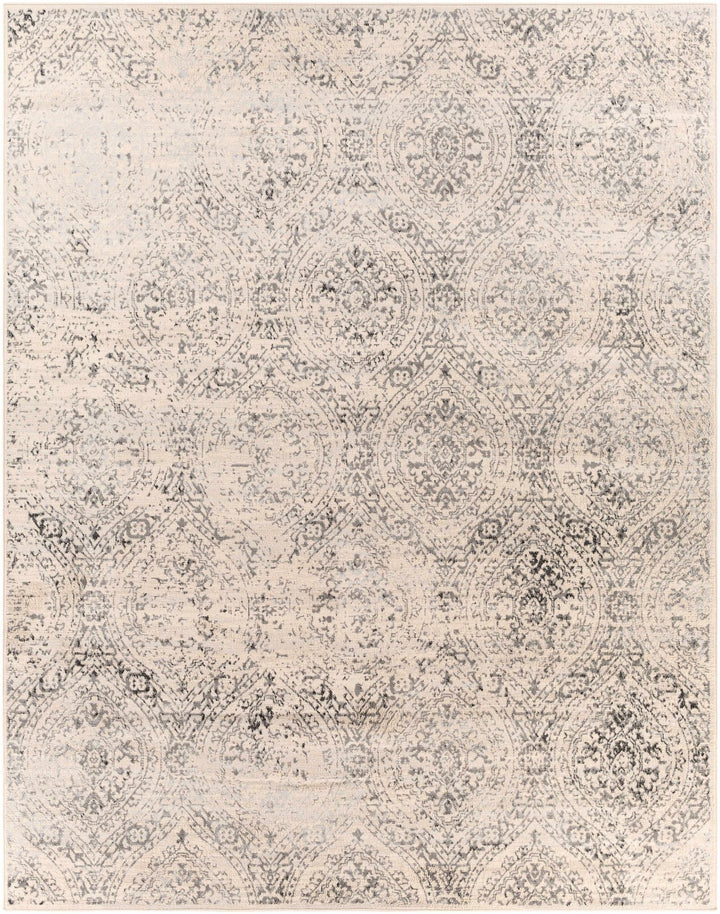 Cundiff Beige And Gray Traditional Style Area Rug - The Rug Decor