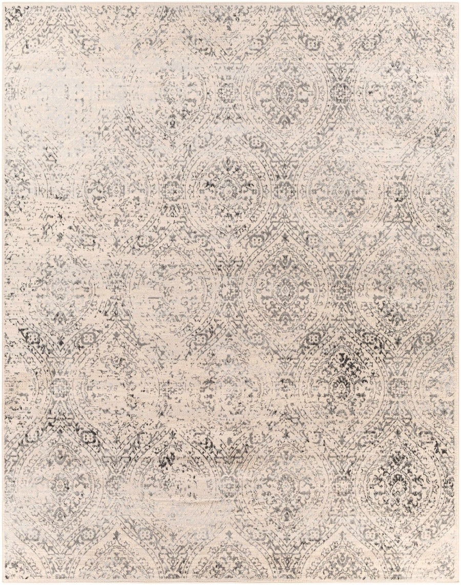 Cundiff Beige And Gray Traditional Style Area Rug - The Rug Decor