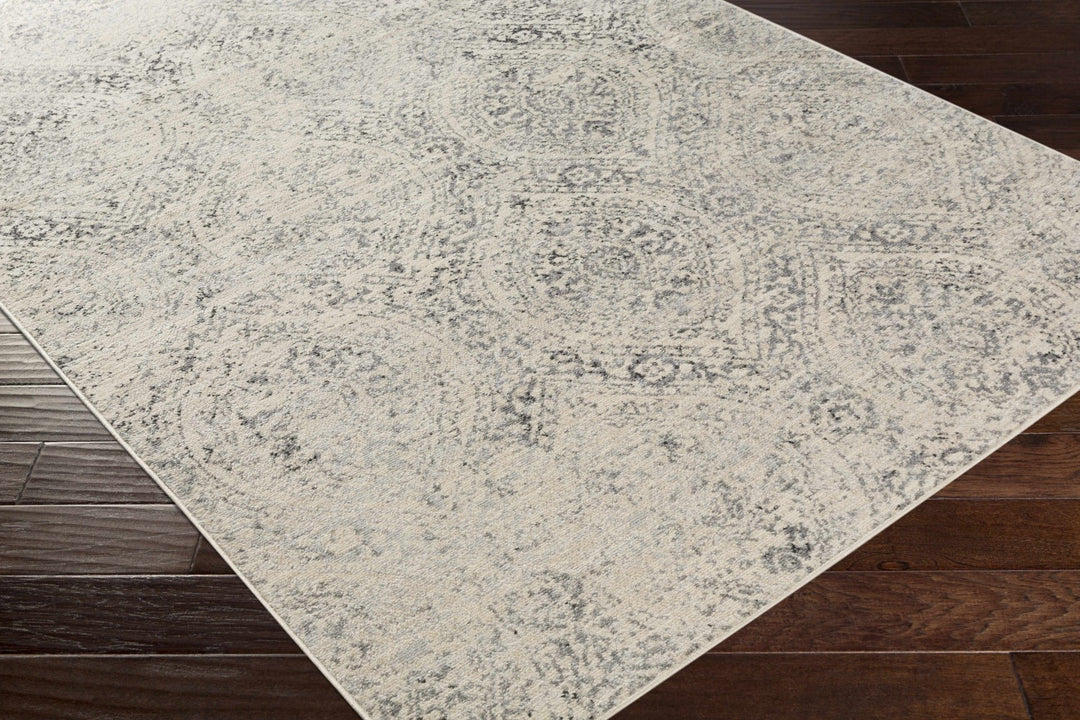 Cundiff Beige And Gray Traditional Style Area Rug - The Rug Decor