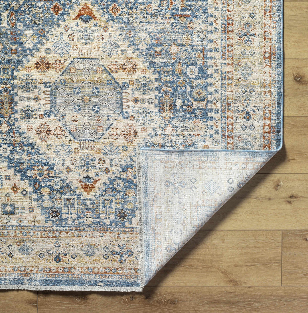 Cyndi Traditional Transitional Beige And Blue Rug - The Rug Decor