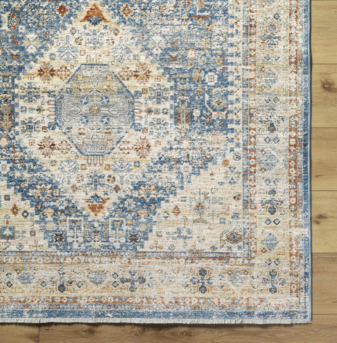 Cyndi Traditional Transitional Beige And Blue Rug - The Rug Decor