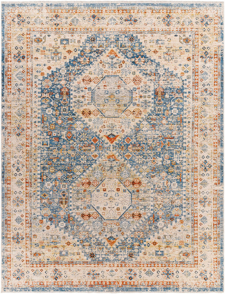 Cyndi Traditional Transitional Beige And Blue Rug - The Rug Decor