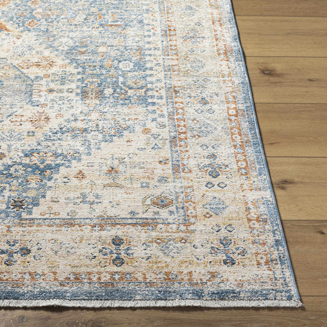 Cyndi Traditional Transitional Beige And Blue Rug - The Rug Decor