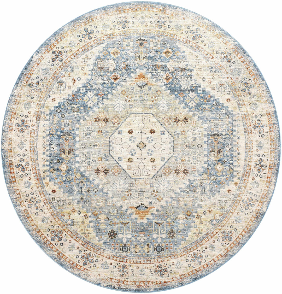 Cyndi Traditional Transitional Beige And Blue Rug - The Rug Decor