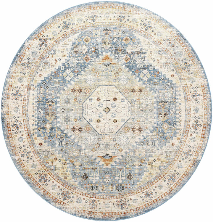 Cyndi Traditional Transitional Beige And Blue Rug - The Rug Decor