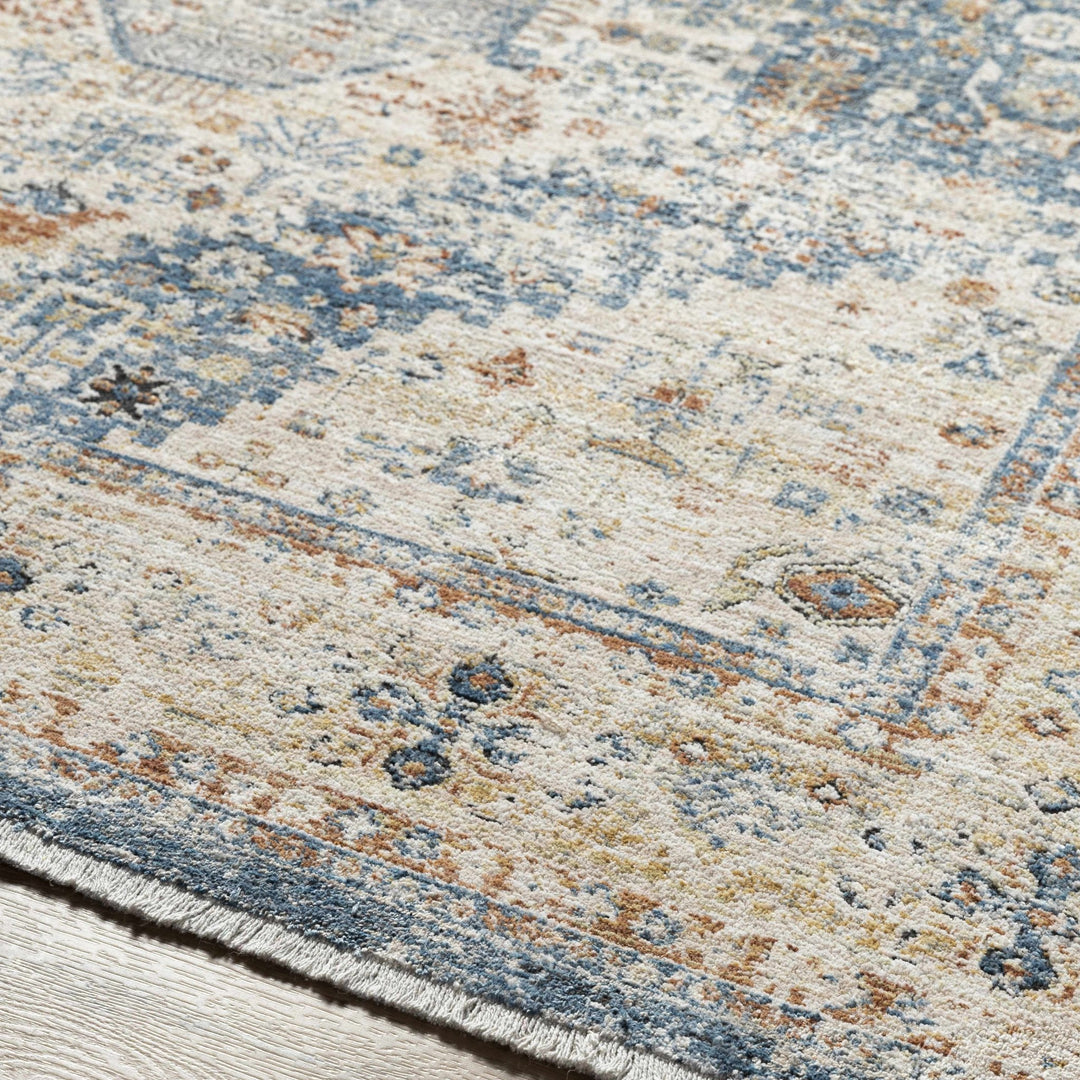 Cyndi Traditional Transitional Beige And Blue Rug - The Rug Decor