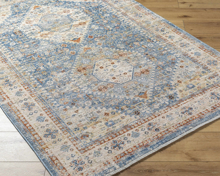Cyndi Traditional Transitional Beige And Blue Rug - The Rug Decor