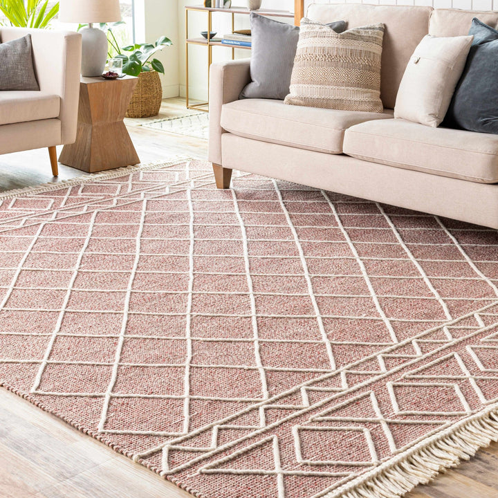 Dacudao Pink And Ivory Modern Geometrical Design Hand Woven Area Rug - The Rug Decor