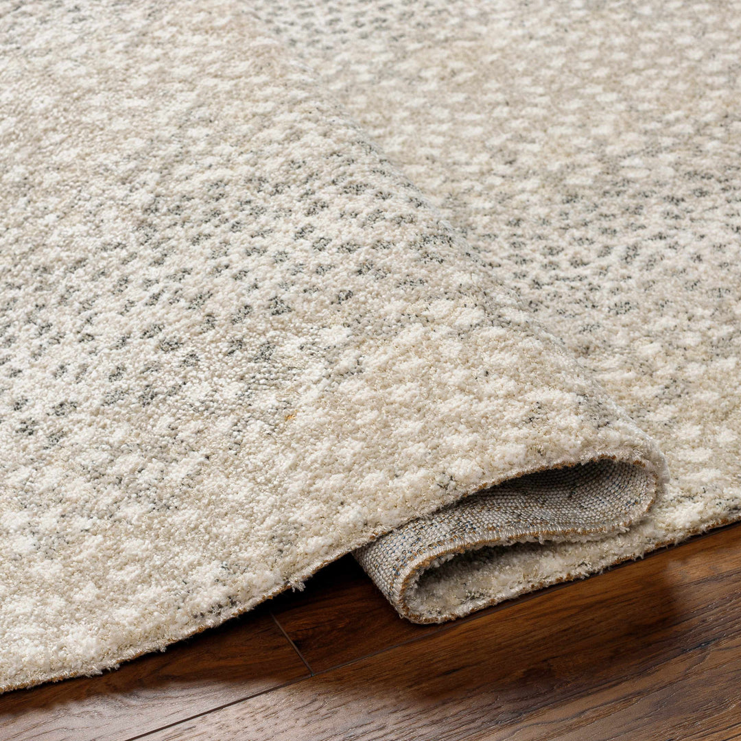 Beige And Gray Contemporary Style Machine Woven Rug