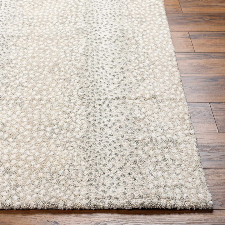 Beige And Gray Contemporary Style Machine Woven Rug