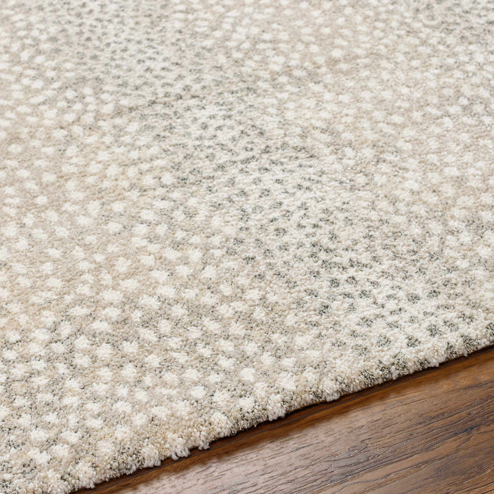 Beige And Gray Contemporary Style Machine Woven Rug