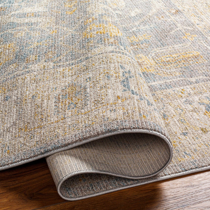 Dally Traditional Style Gray & Taupe Area Rug - The Rug Decor