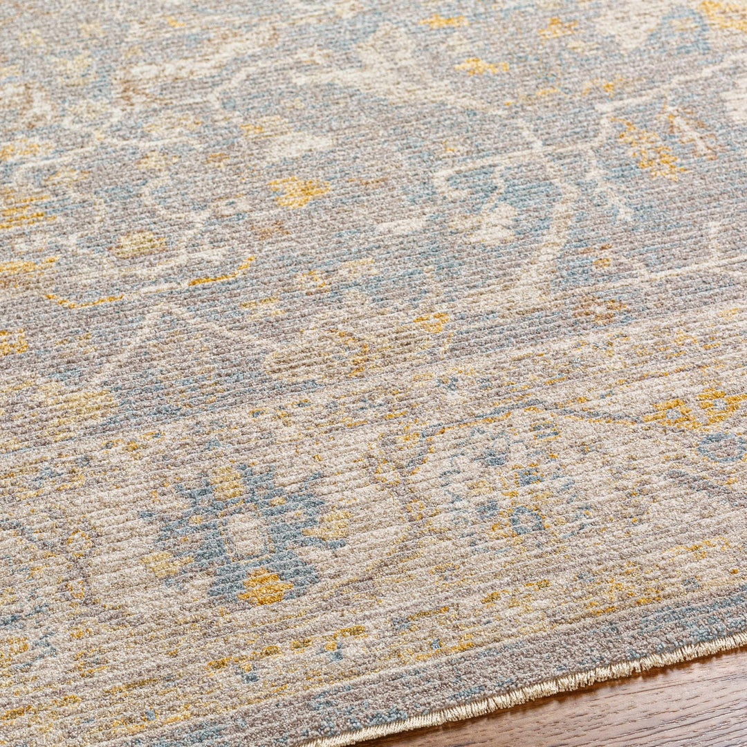 Dally Traditional Style Gray & Taupe Area Rug - The Rug Decor