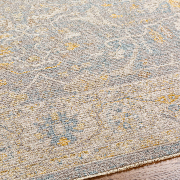 Dally Traditional Style Gray & Taupe Area Rug - The Rug Decor