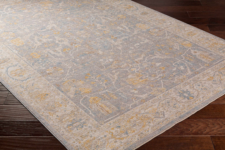 Dally Traditional Style Gray & Taupe Area Rug - The Rug Decor