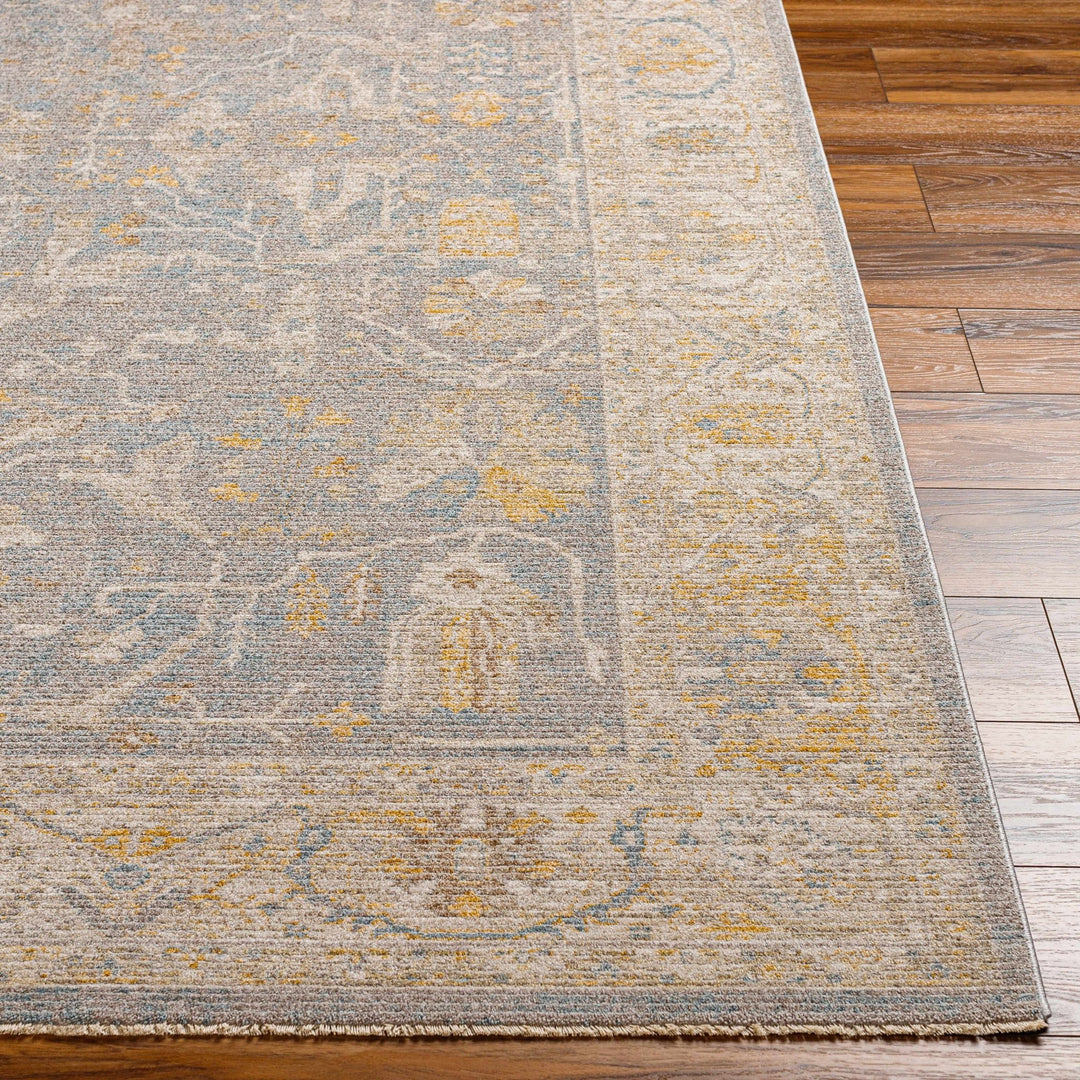 Dally Traditional Style Gray & Taupe Area Rug - The Rug Decor