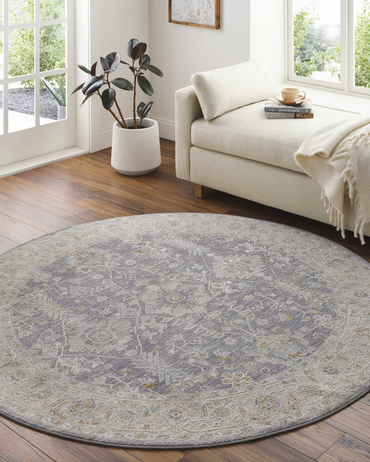 Dalupirip Gray And Beige Traditional Design Area Rug - The Rug Decor