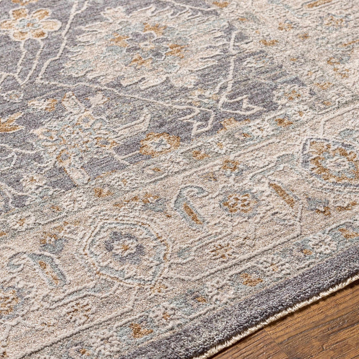 Dalupirip Gray And Beige Traditional Design Area Rug - The Rug Decor