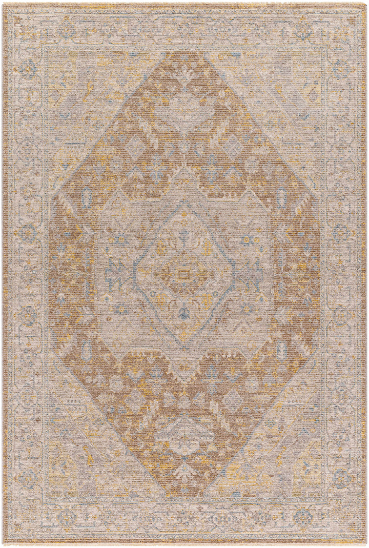 Darin Traditional Style Beige And Brown Area Rug
