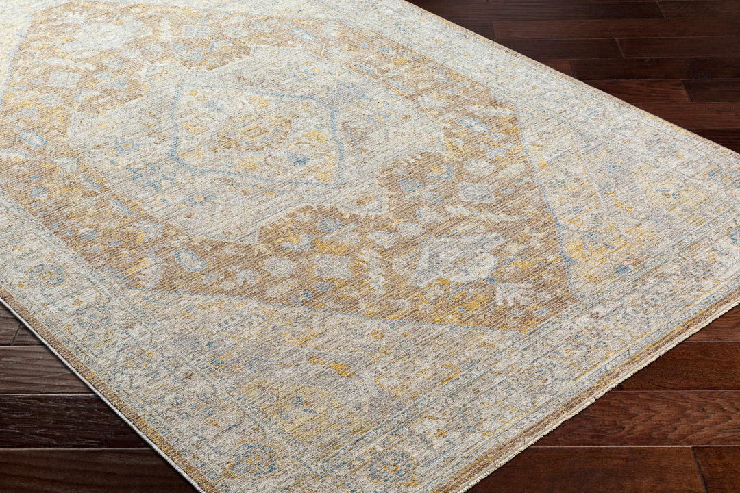 Darin Traditional Style Beige And Brown Area Rug