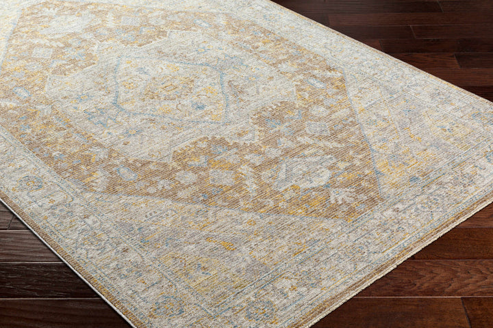Darin Traditional Style Beige And Brown Area Rug