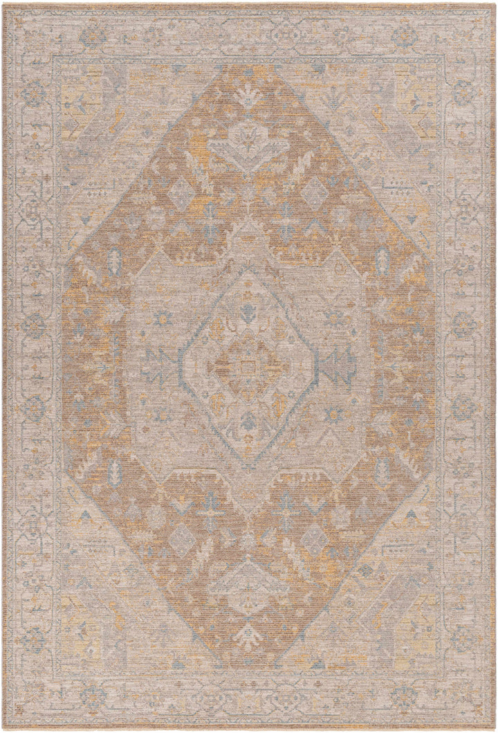 Darin Traditional Style Beige And Brown Area Rug