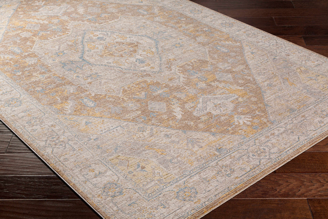 Darin Traditional Style Beige And Brown Area Rug