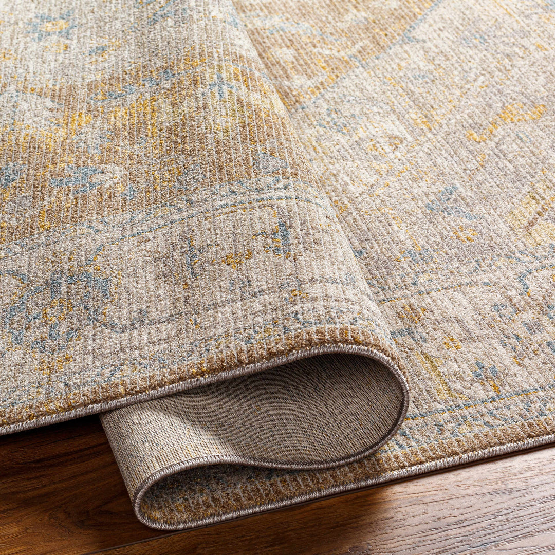 Darin Traditional Style Beige And Brown Area Rug