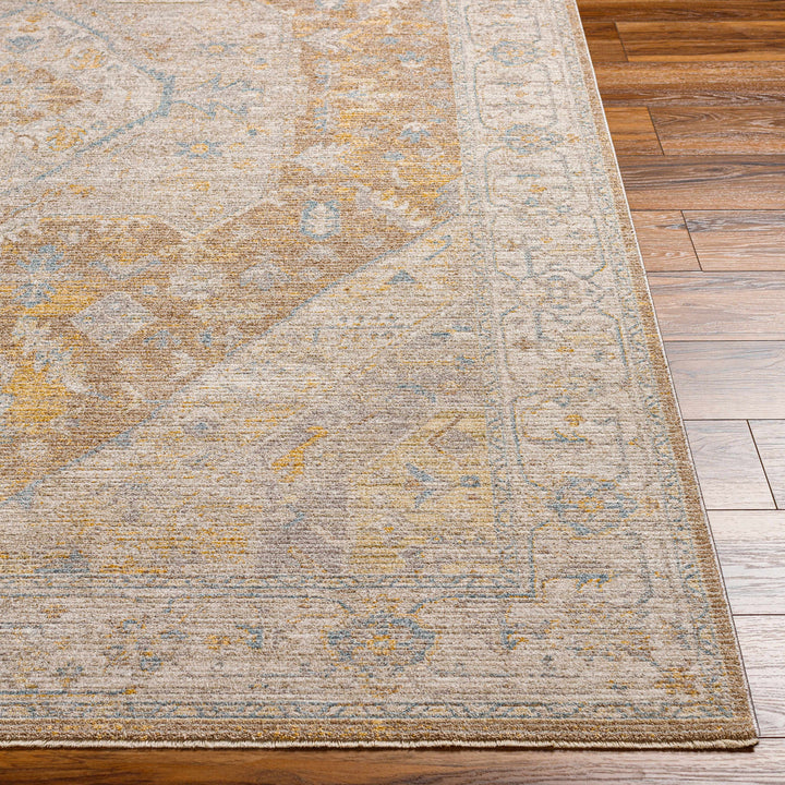 Darin Traditional Style Beige And Brown Area Rug