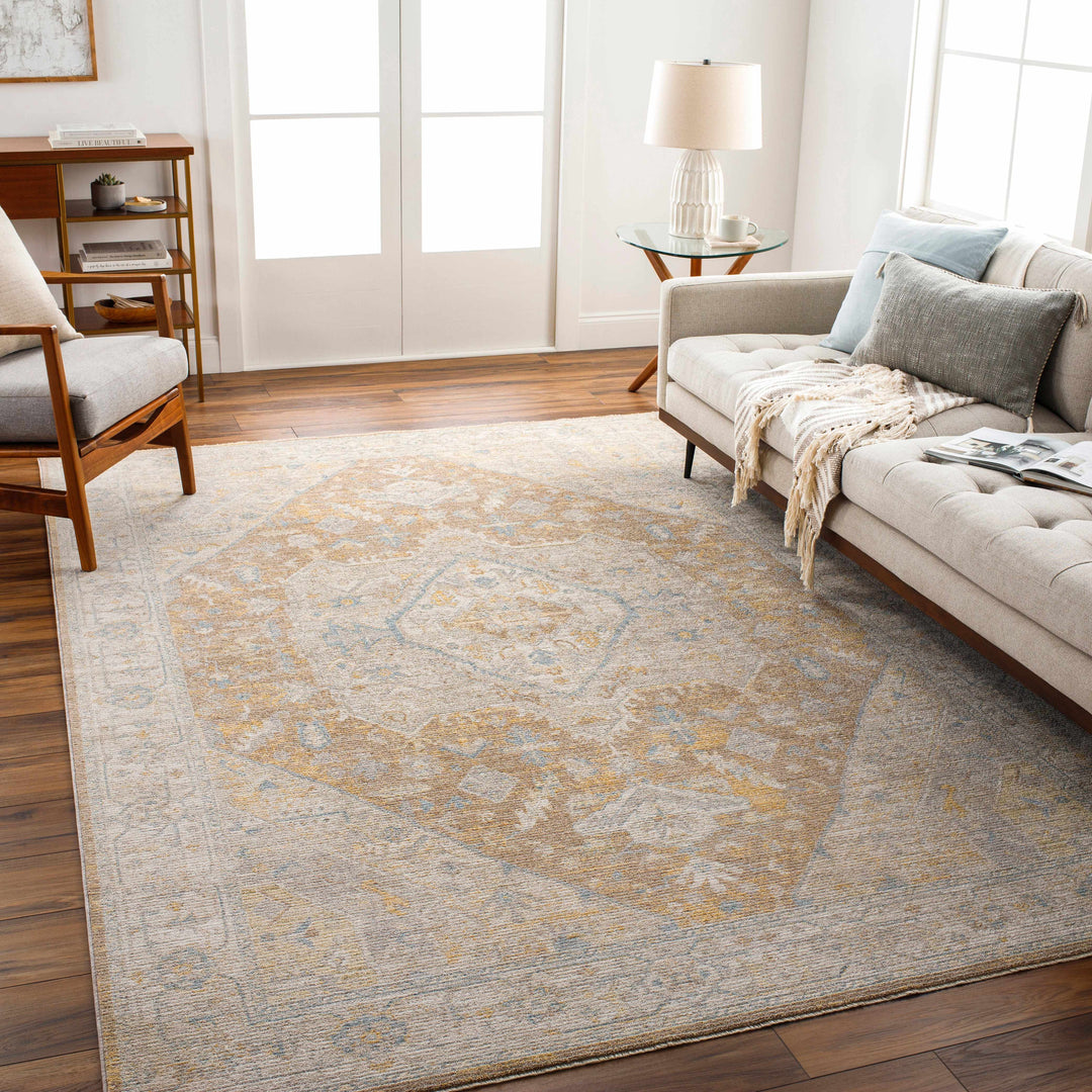 Darin Traditional Style Beige And Brown Area Rug
