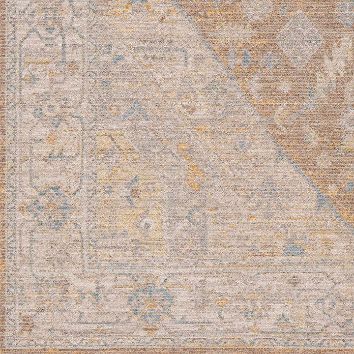 Darin Traditional Style Beige And Brown Area Rug