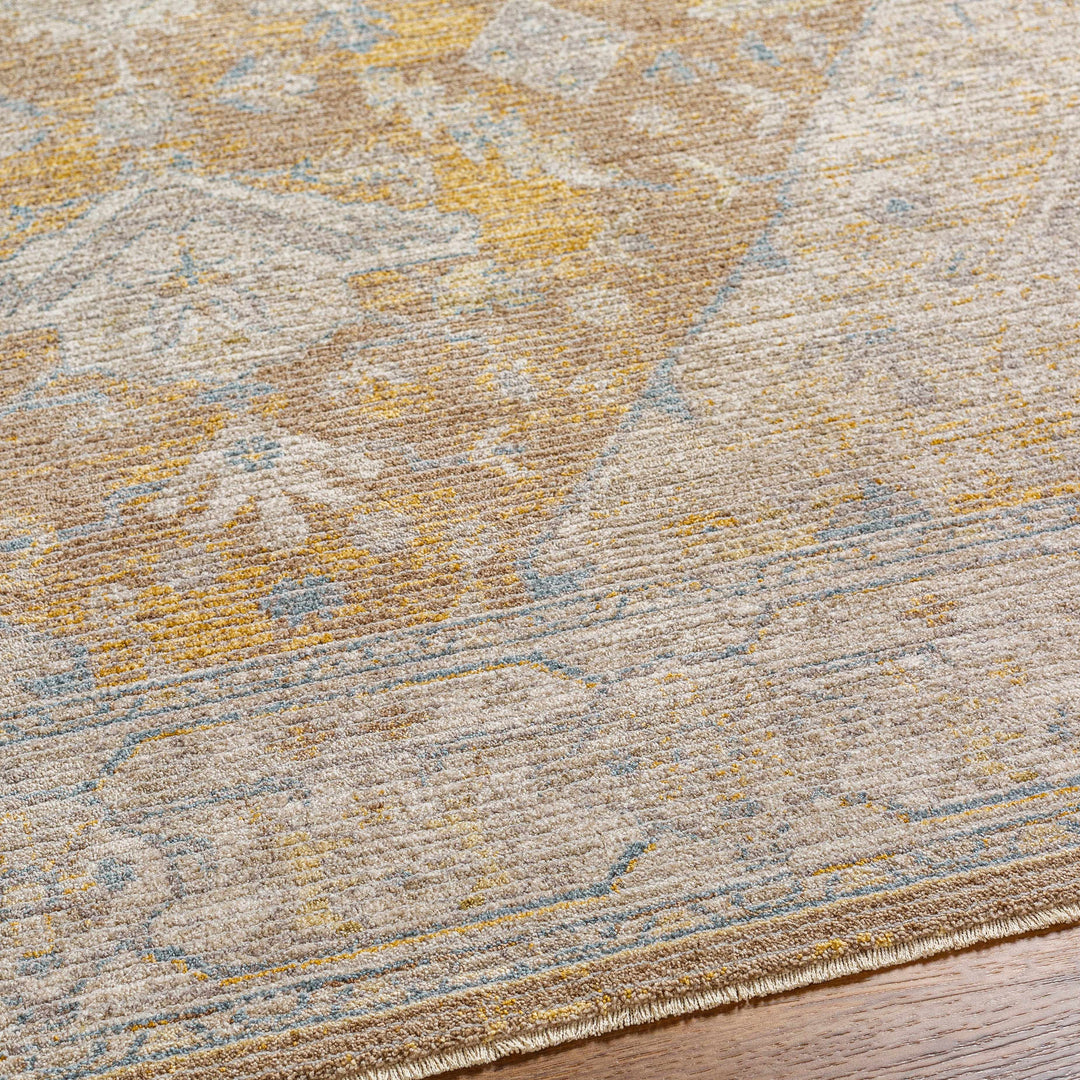 Darin Traditional Style Beige And Brown Area Rug