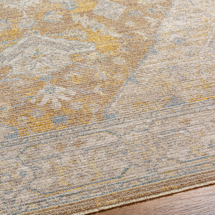 Darin Traditional Style Beige And Brown Area Rug