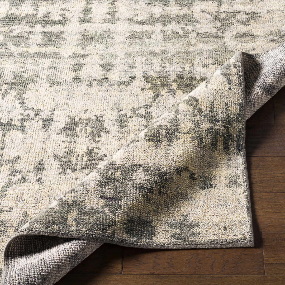 Davant Contemporary Style Beige And Gray Hand Knotted Area Rug