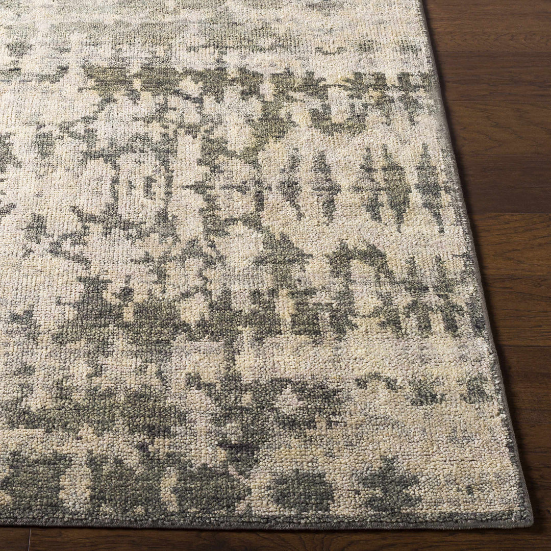 Davant Contemporary Style Beige And Gray Hand Knotted Area Rug