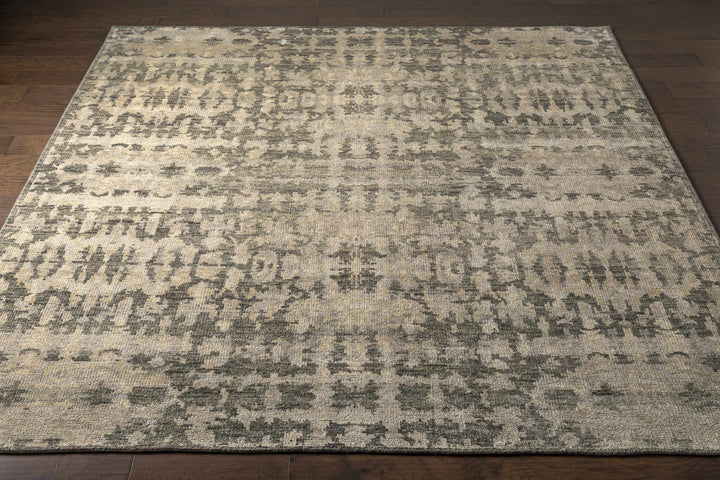 Davant Contemporary Style Beige And Gray Hand Knotted Area Rug