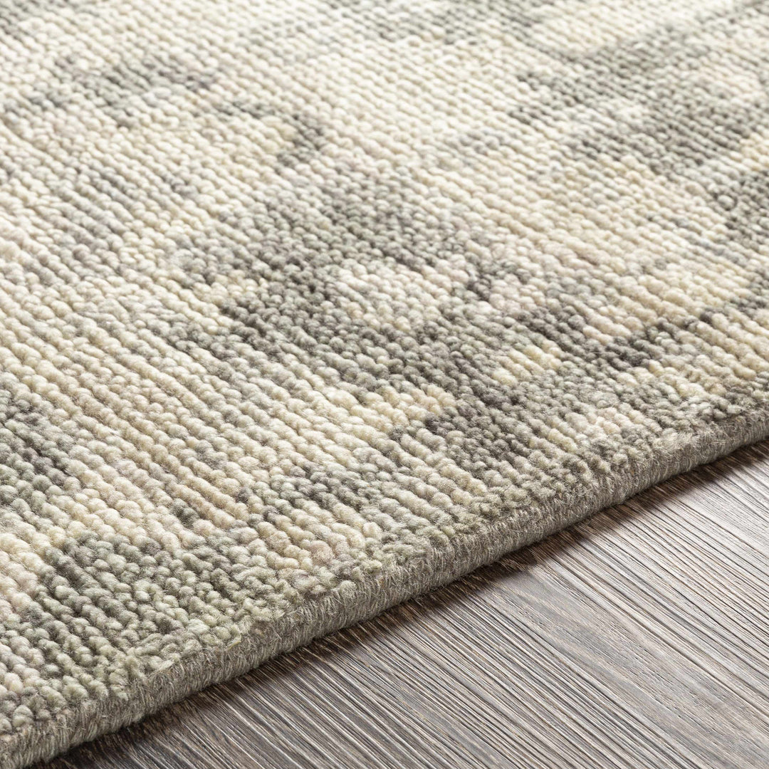 Davant Contemporary Style Beige And Gray Hand Knotted Area Rug