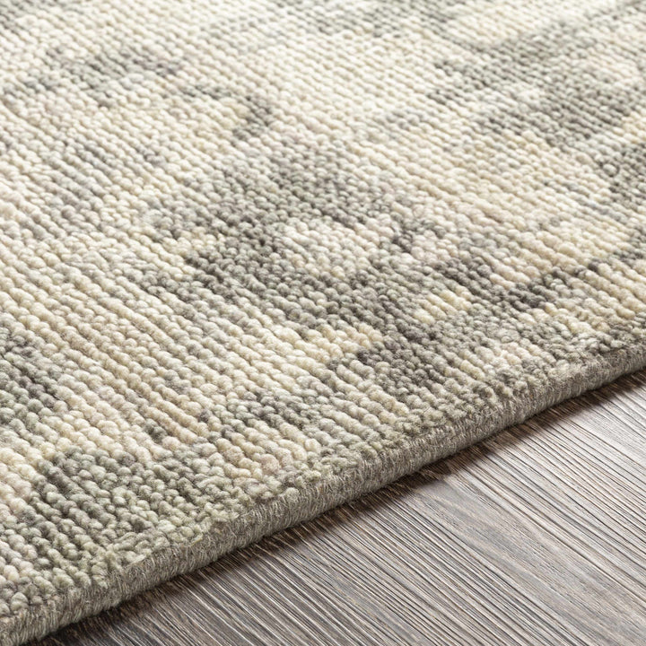 Davant Contemporary Style Beige And Gray Hand Knotted Area Rug