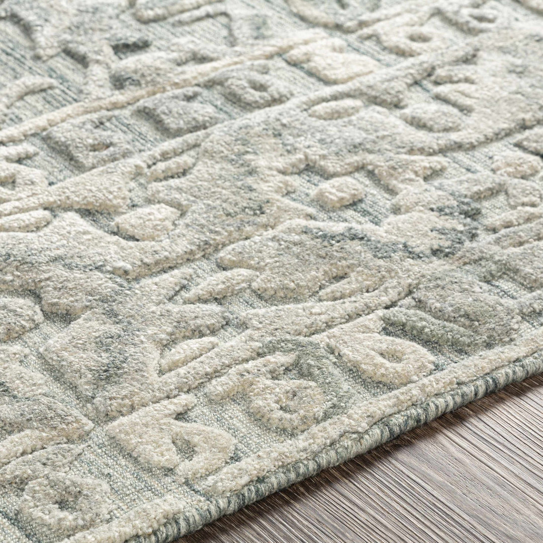 Davilla Green Traditional Style Hand Loom Area Rug - The Rug Decor