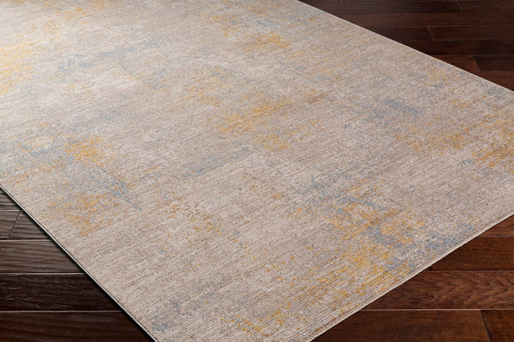 Deion Contemporary Style Taupe And Gray Rug