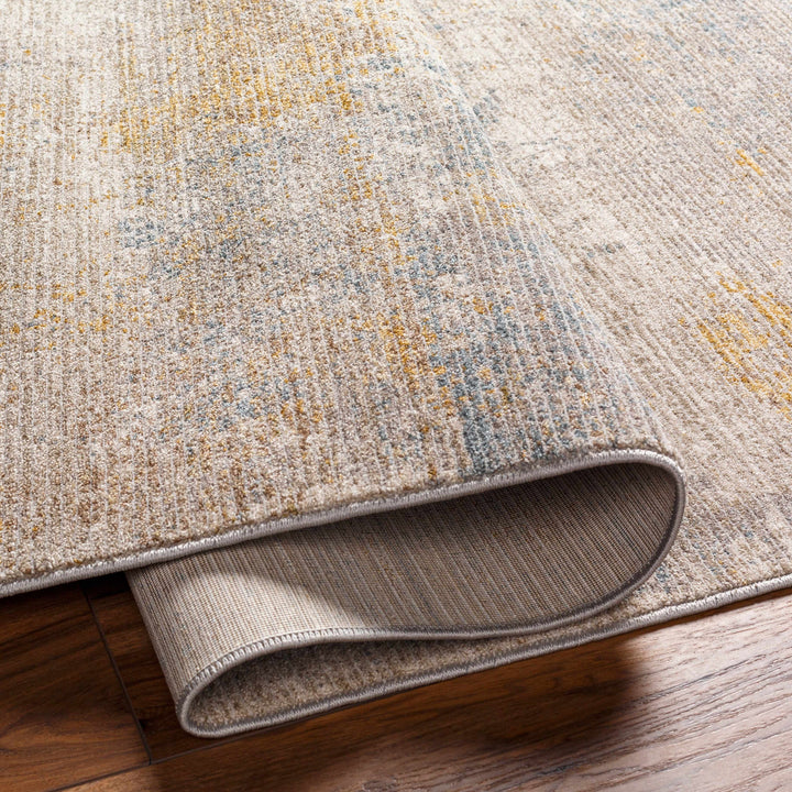 Deion Contemporary Style Taupe And Gray Rug