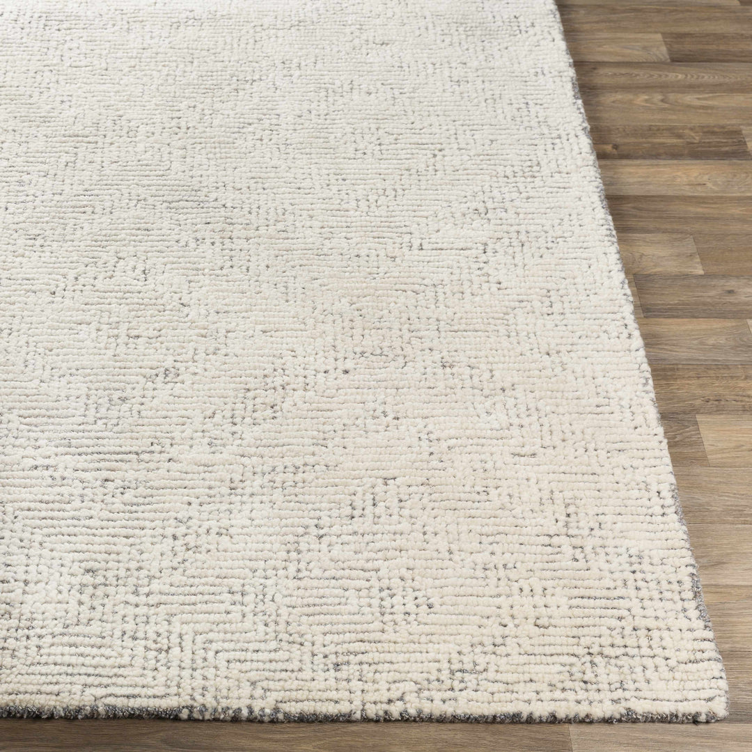 Delahey Ivory Modern Style Hand Tufted Wool Area Rug