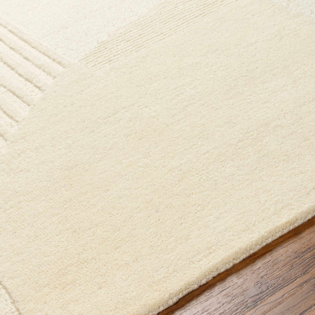 Denis Contemporary Modern Beige Area Rug - The Rug Decor