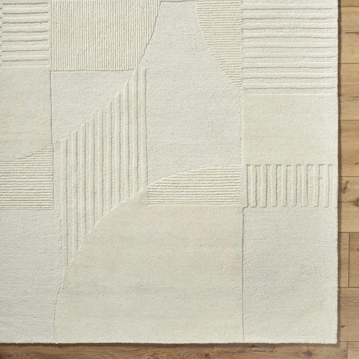 Denis Contemporary Modern Beige Area Rug - The Rug Decor